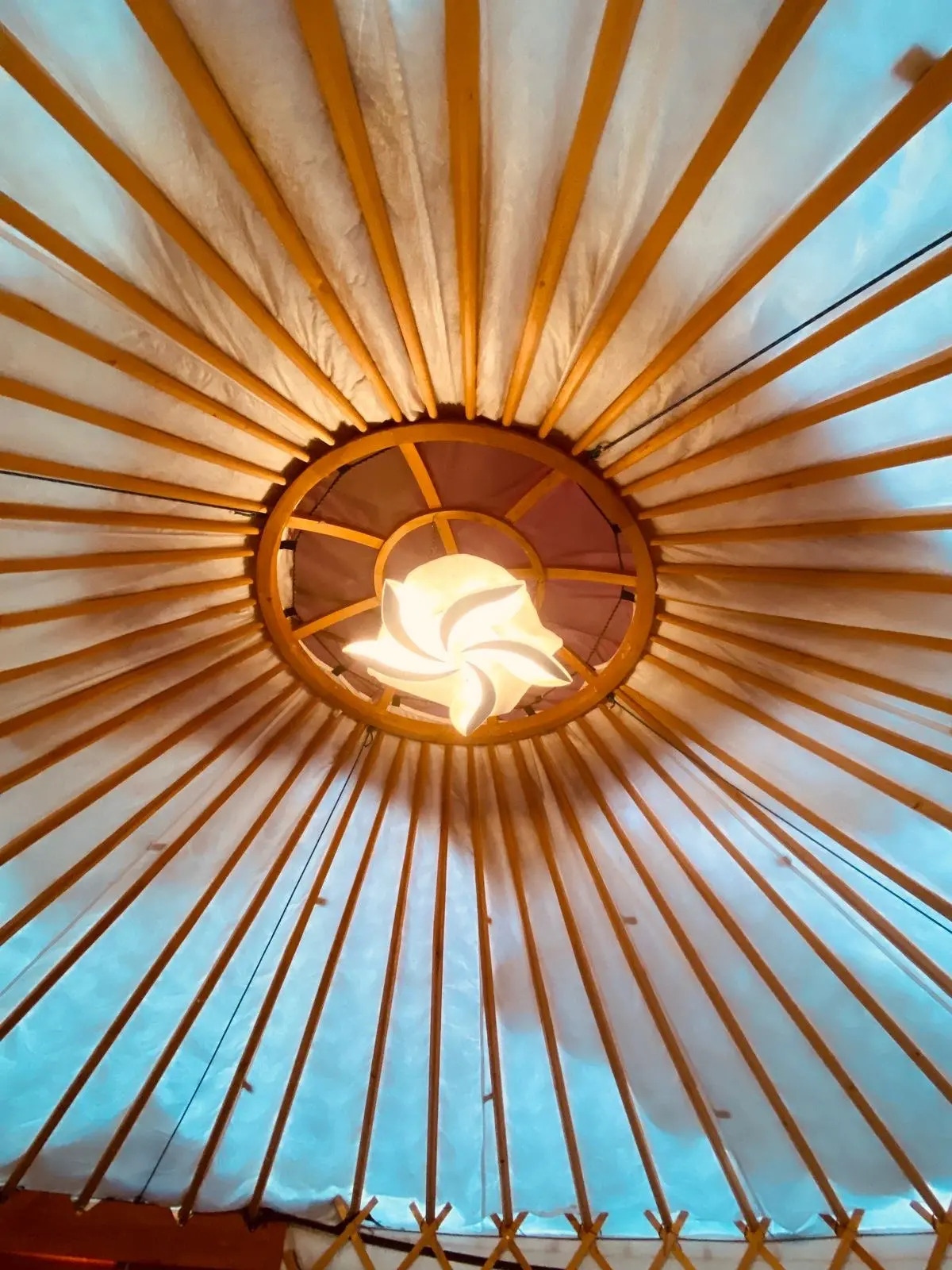 Глэмпинг Алтайский