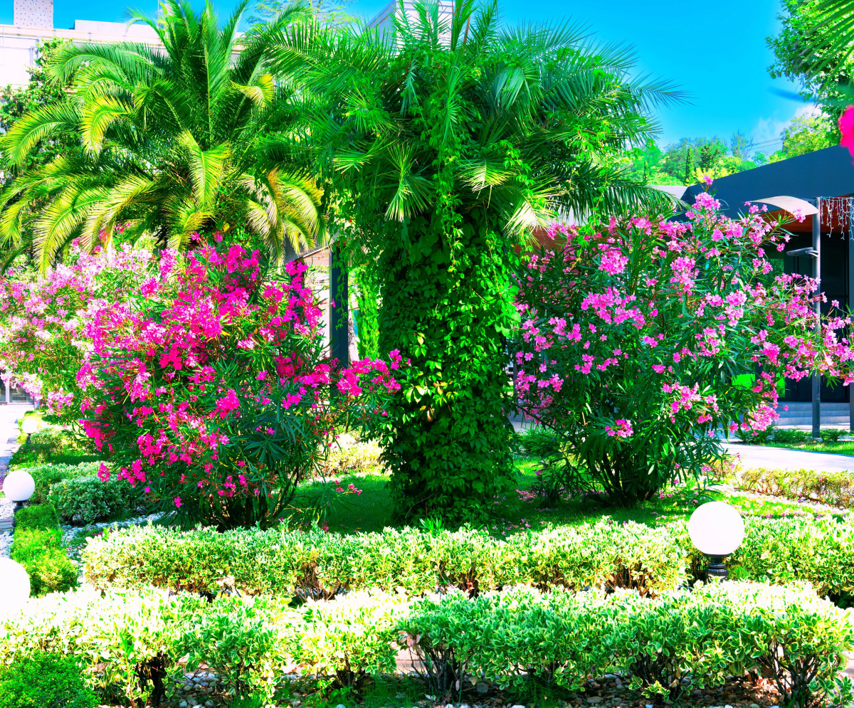 Апартаменты Лазурные в Лучезарном