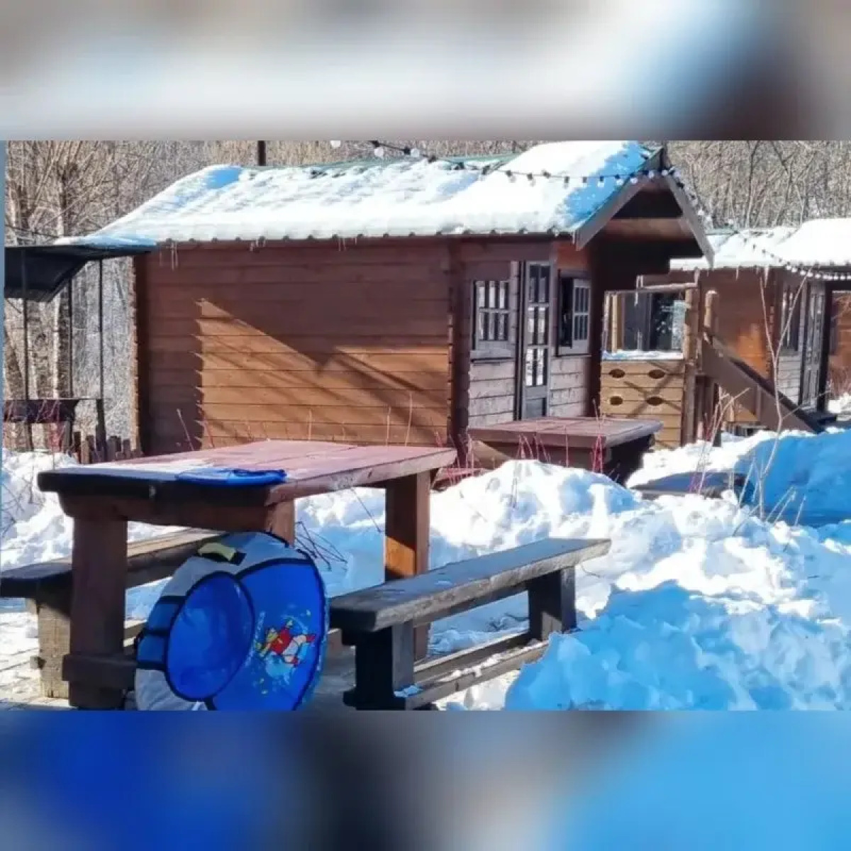 База отдыха парк отдыха Лесное озеро