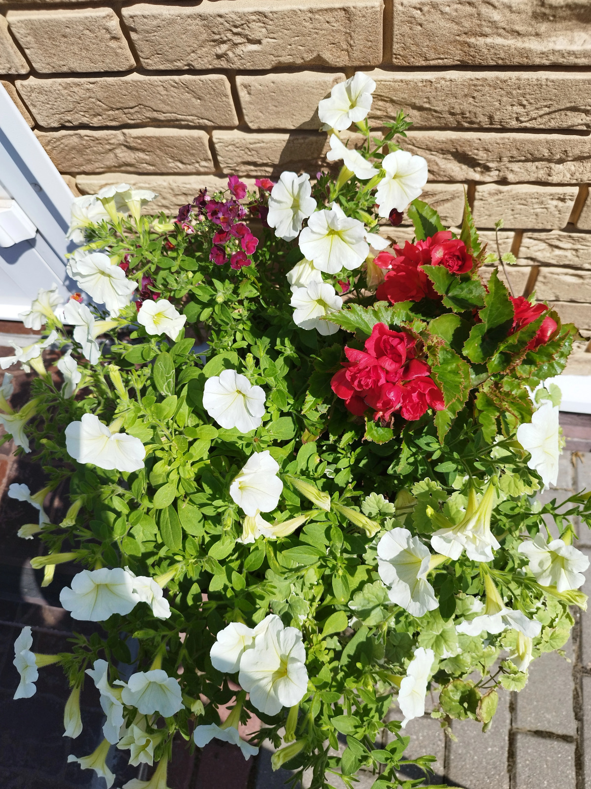 Гостевой Дом S Baney