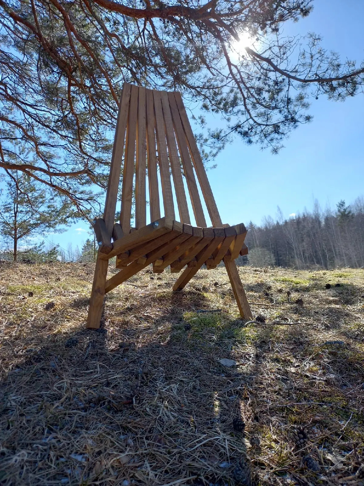 Гостевой дом Под соснами