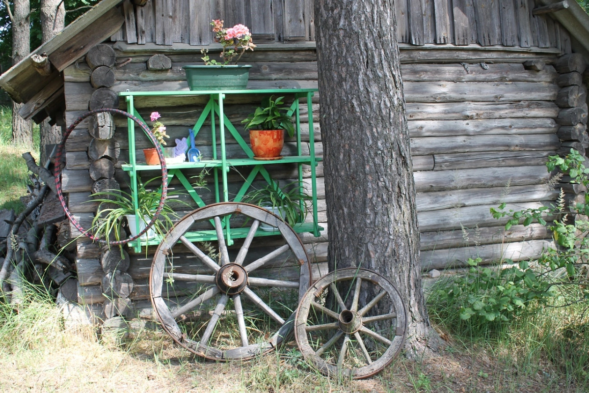 Дом у сосен