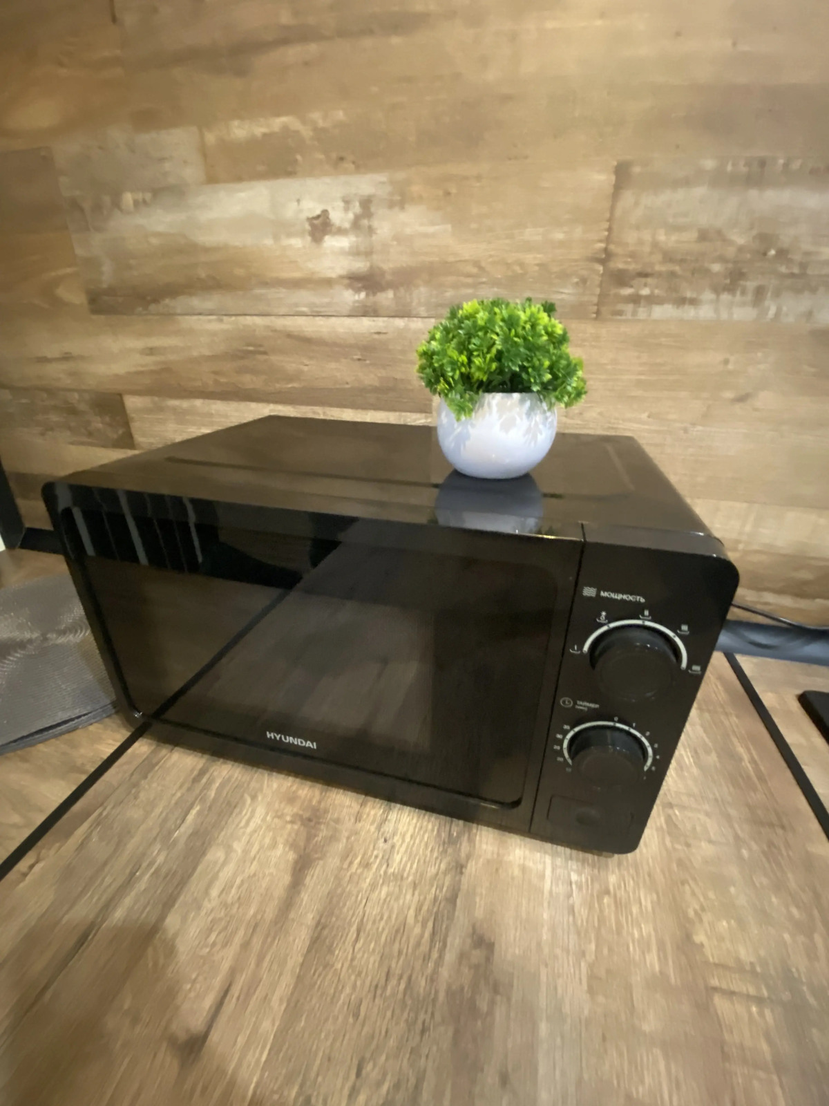 Квартира на побережье Балтийского моря