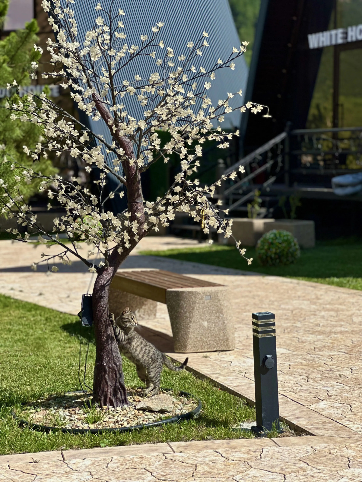 База отдыха Anaka