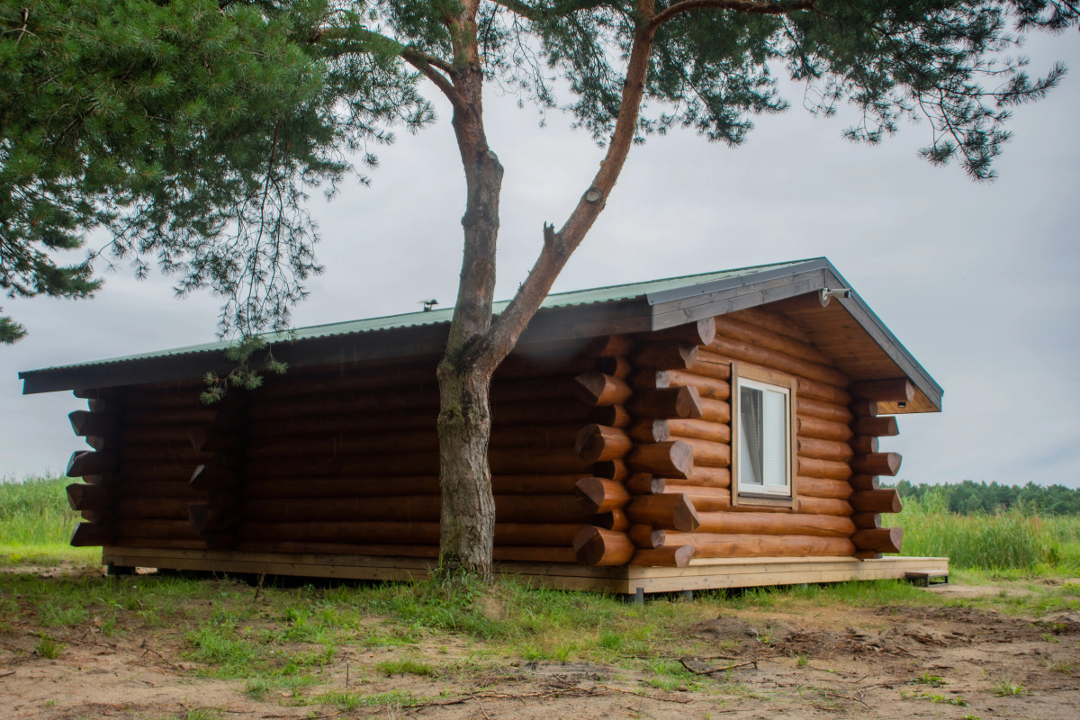 Рыболовное Хозяйство Дзик