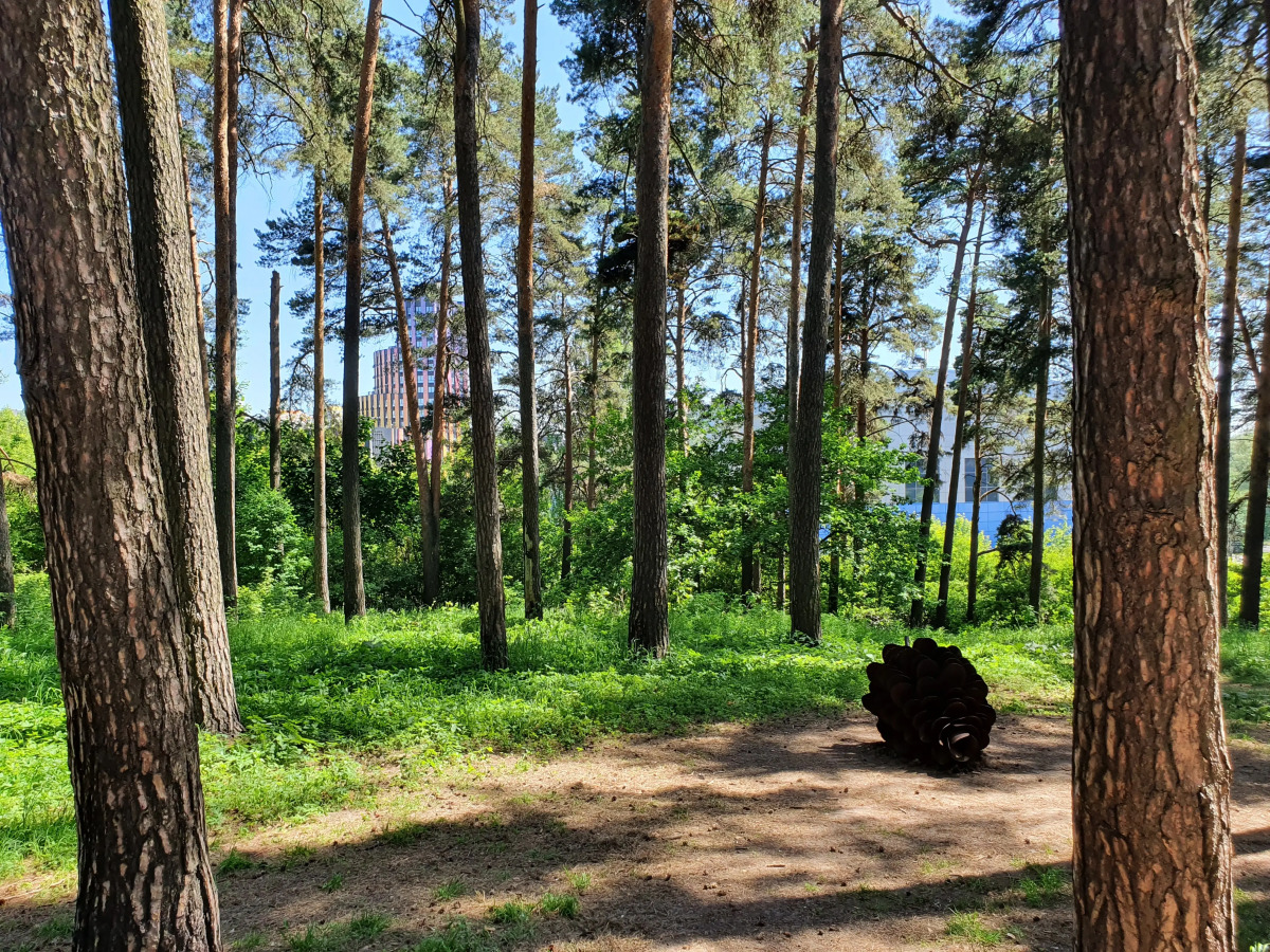 Апартаменты Твоя Резиденция