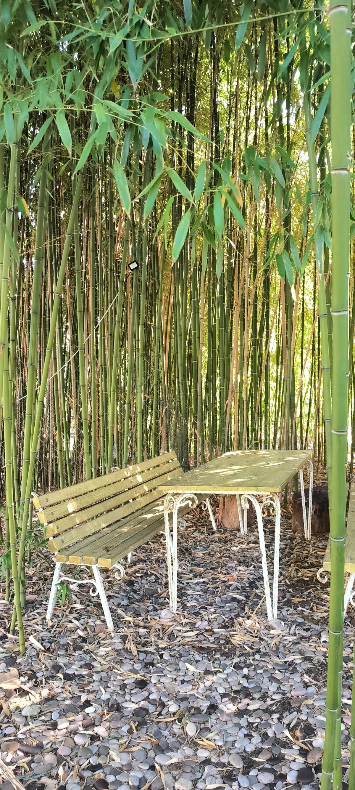 Гостевой дом На Берегу