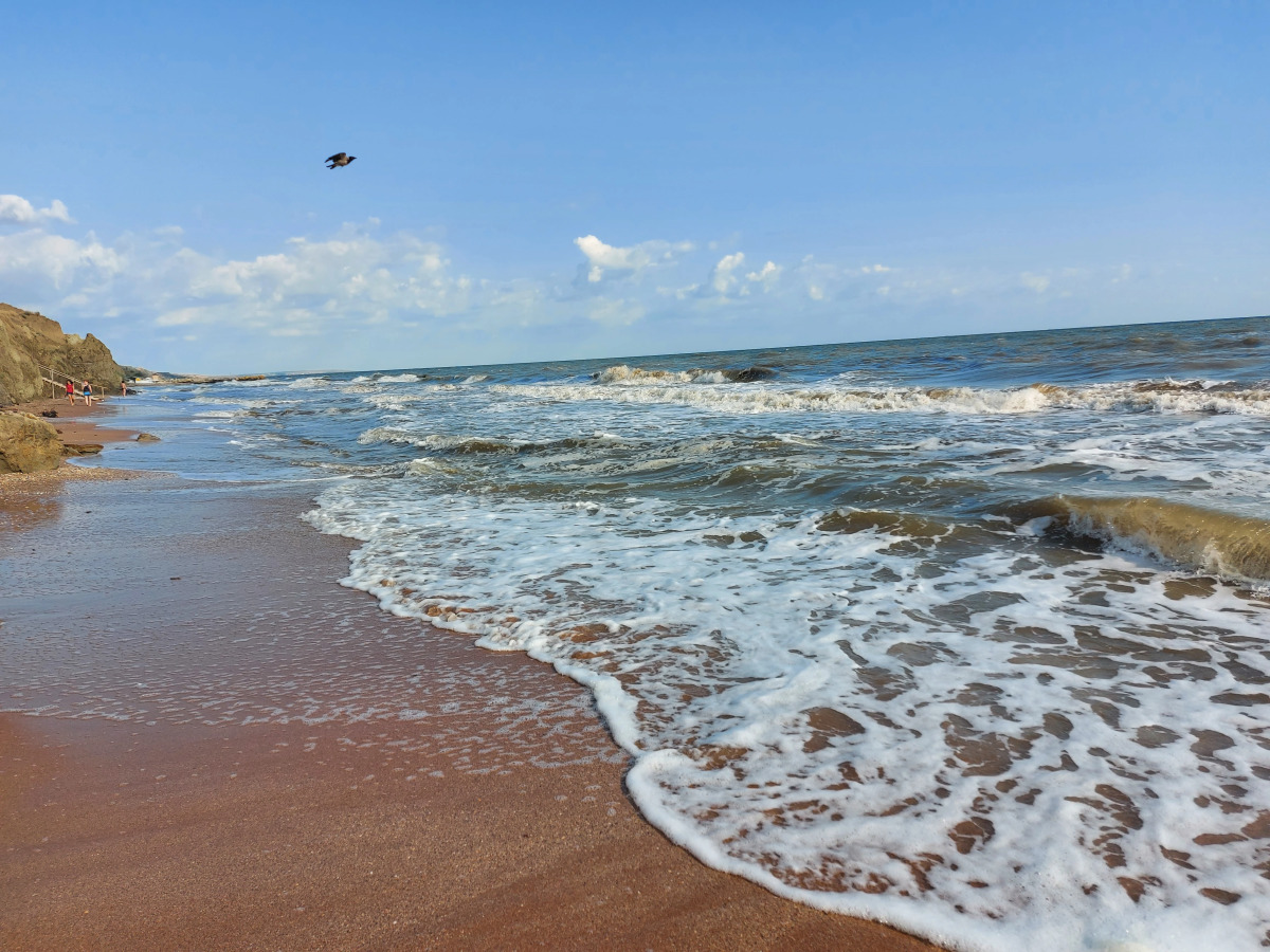 Гостевой Дом Морская 51