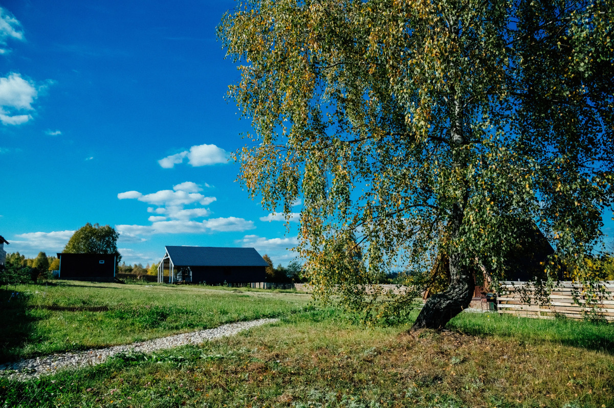 Гостевой дом Добрый Дом 71