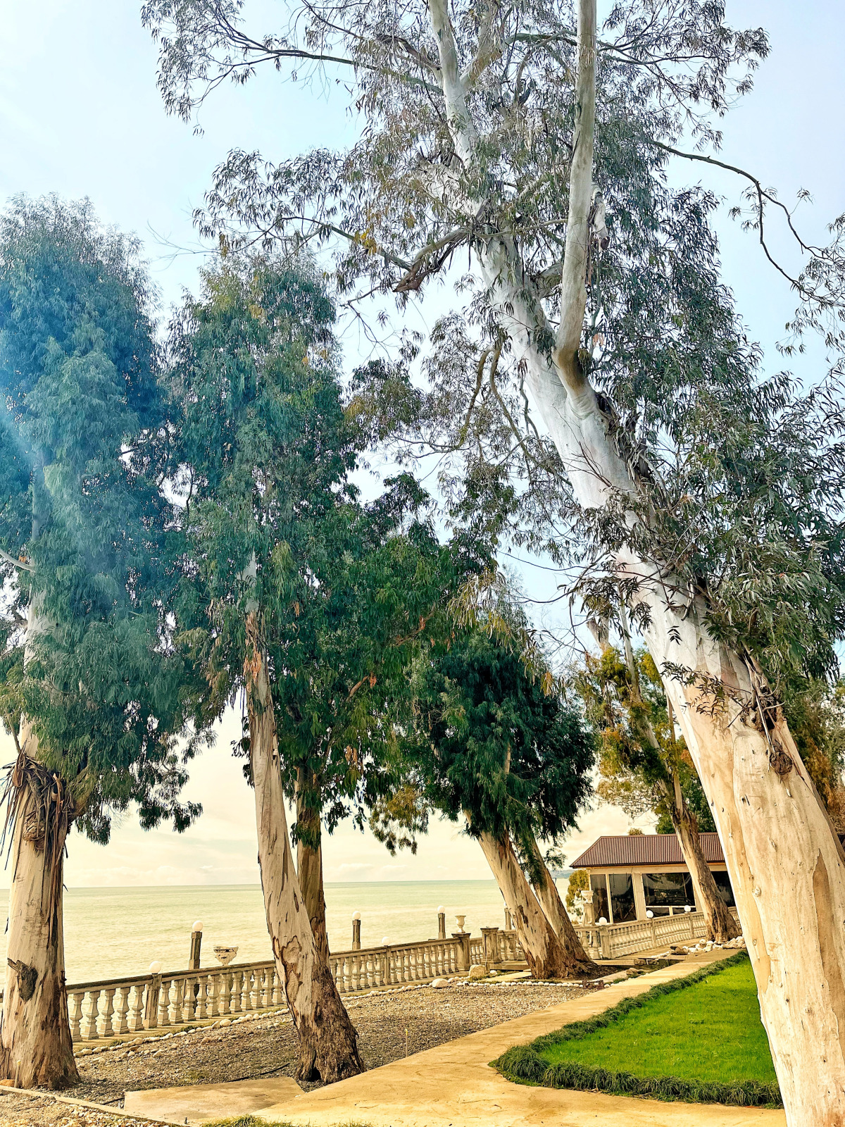 База отдыха Набережная Виктория