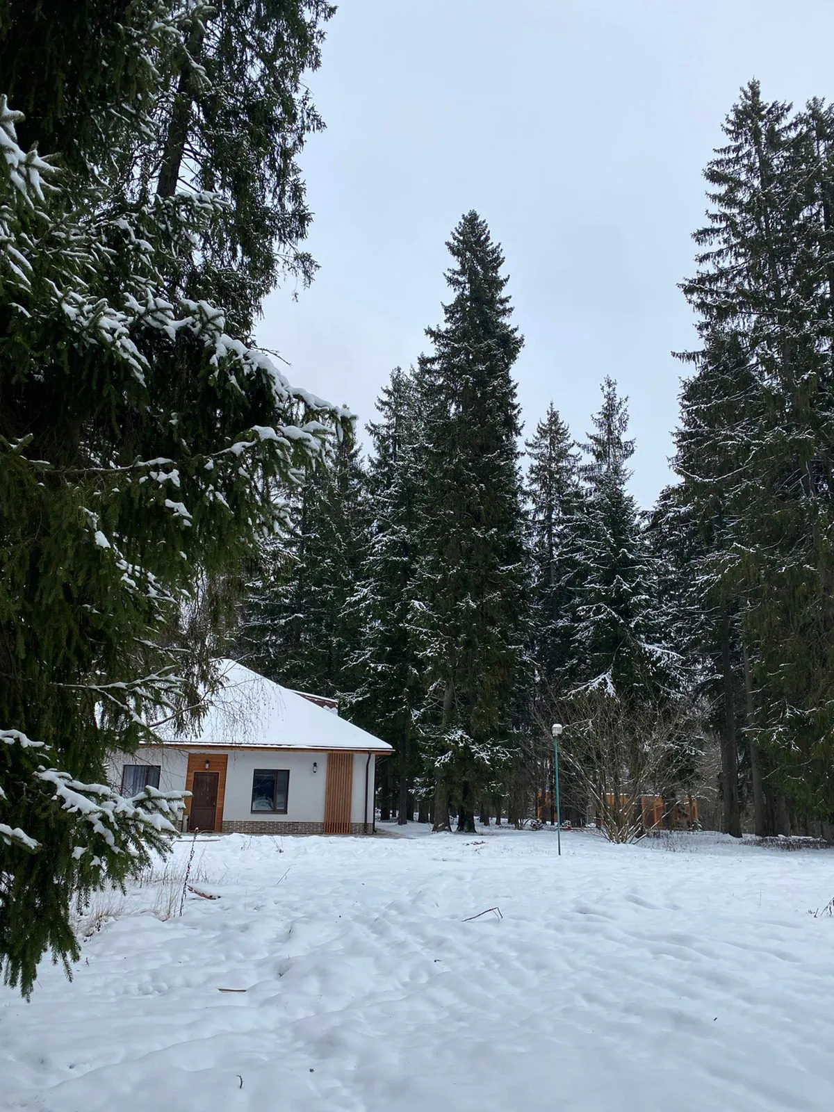 Отель Ruza Forest