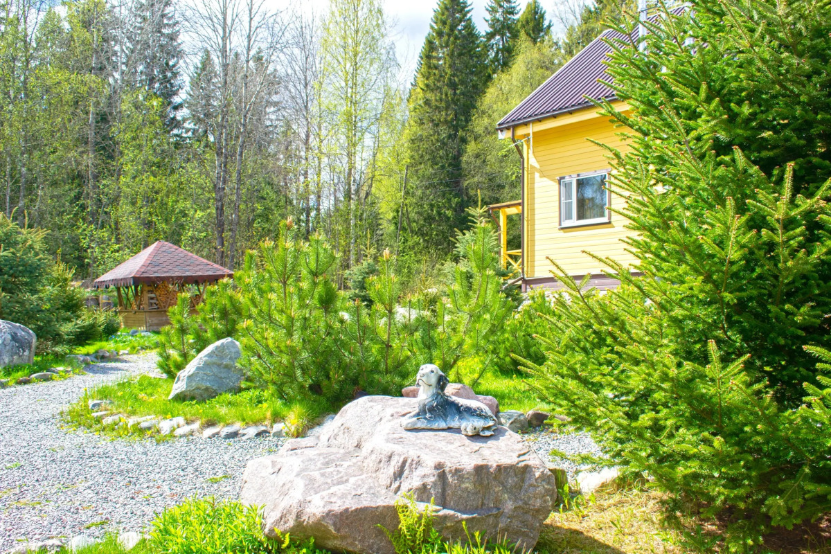 Гостевой дом Коттедж Лесной