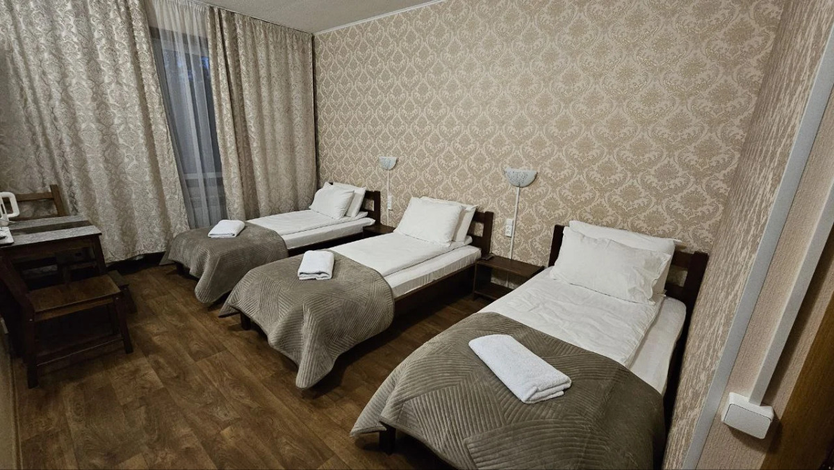 Гостевой дом Шишкино-парк аэропорт Домодедово