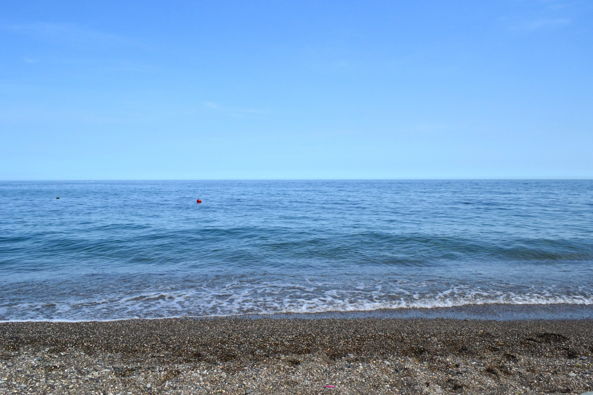 Санаторий Лес