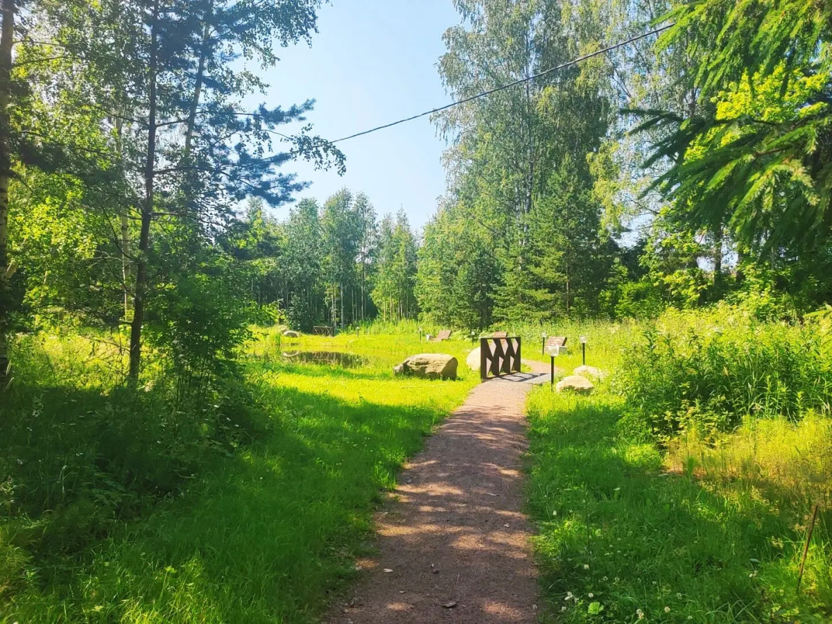 Гостевой дом Домик у леса рядом с Игорой