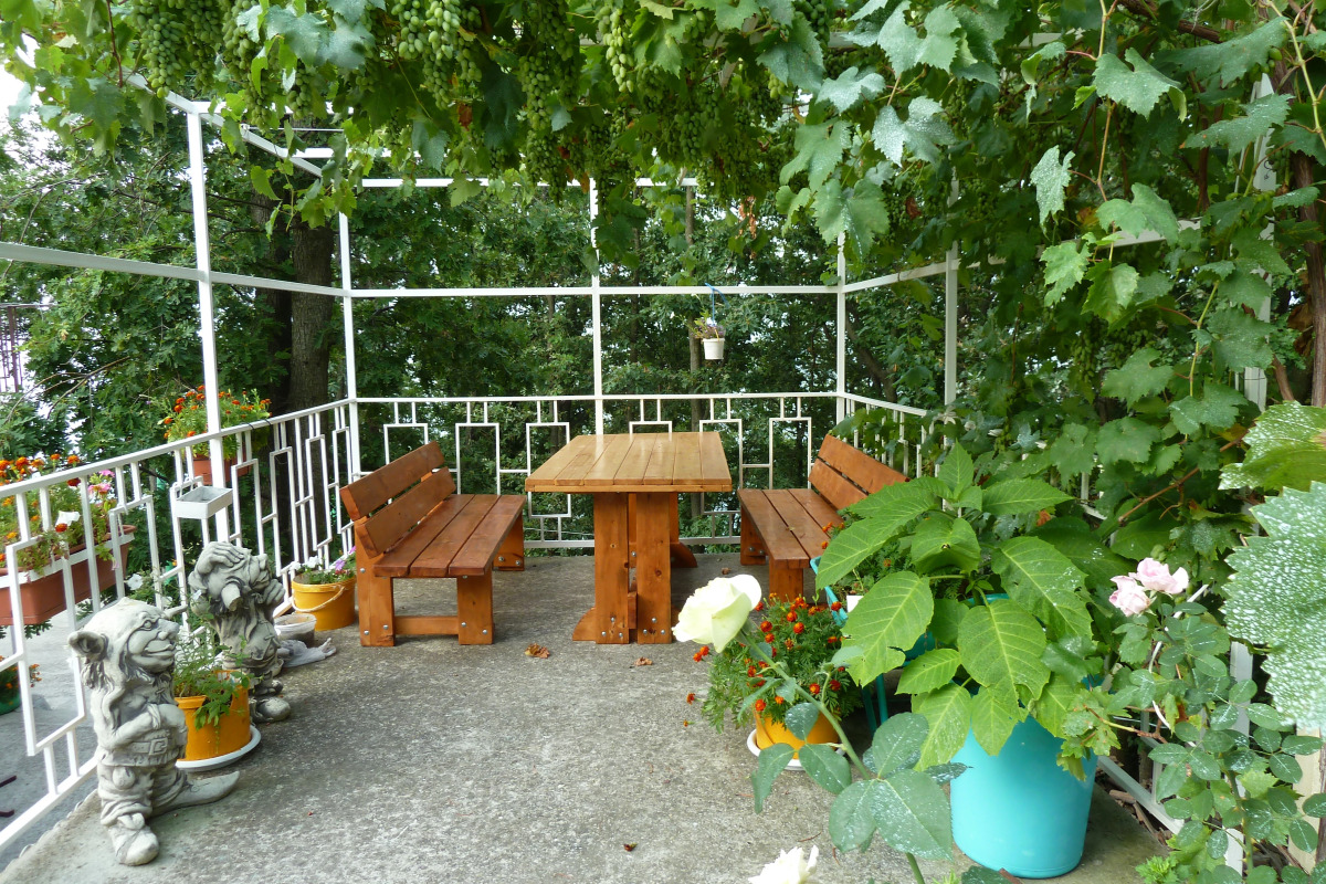 Гостевой Дом Дубовая Роща