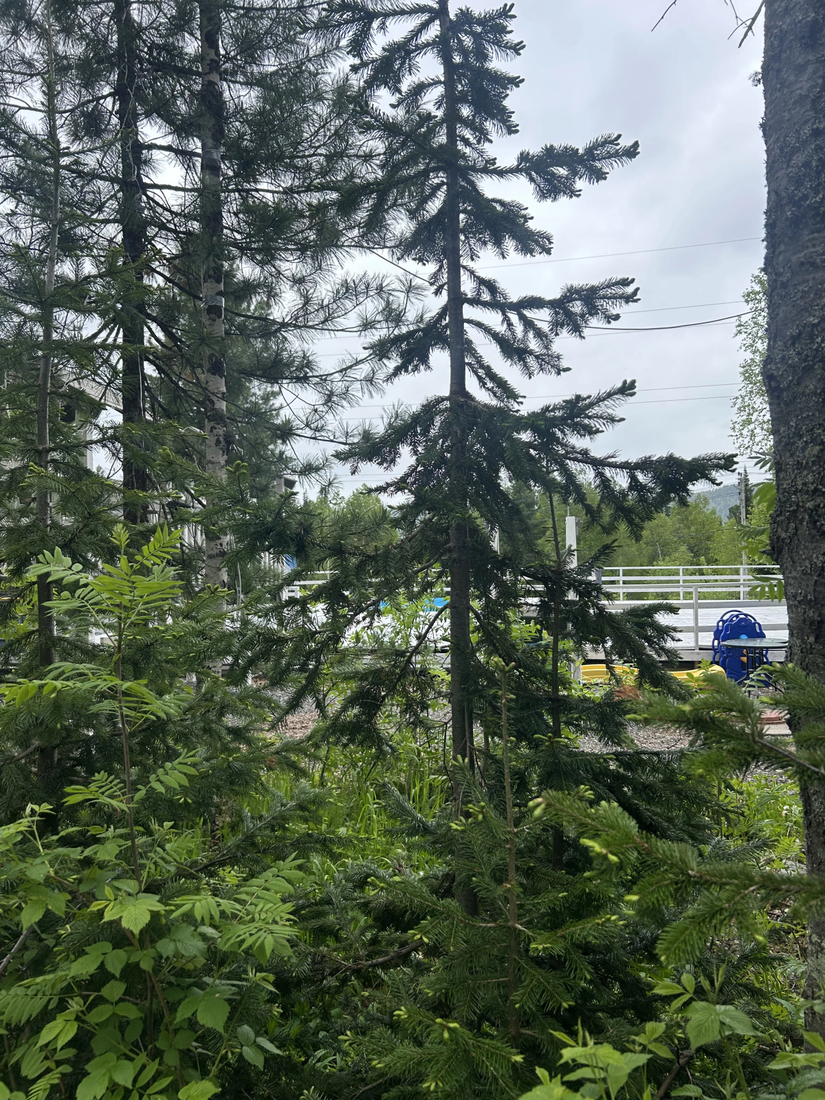 Гостевой Дом Брусника № 1