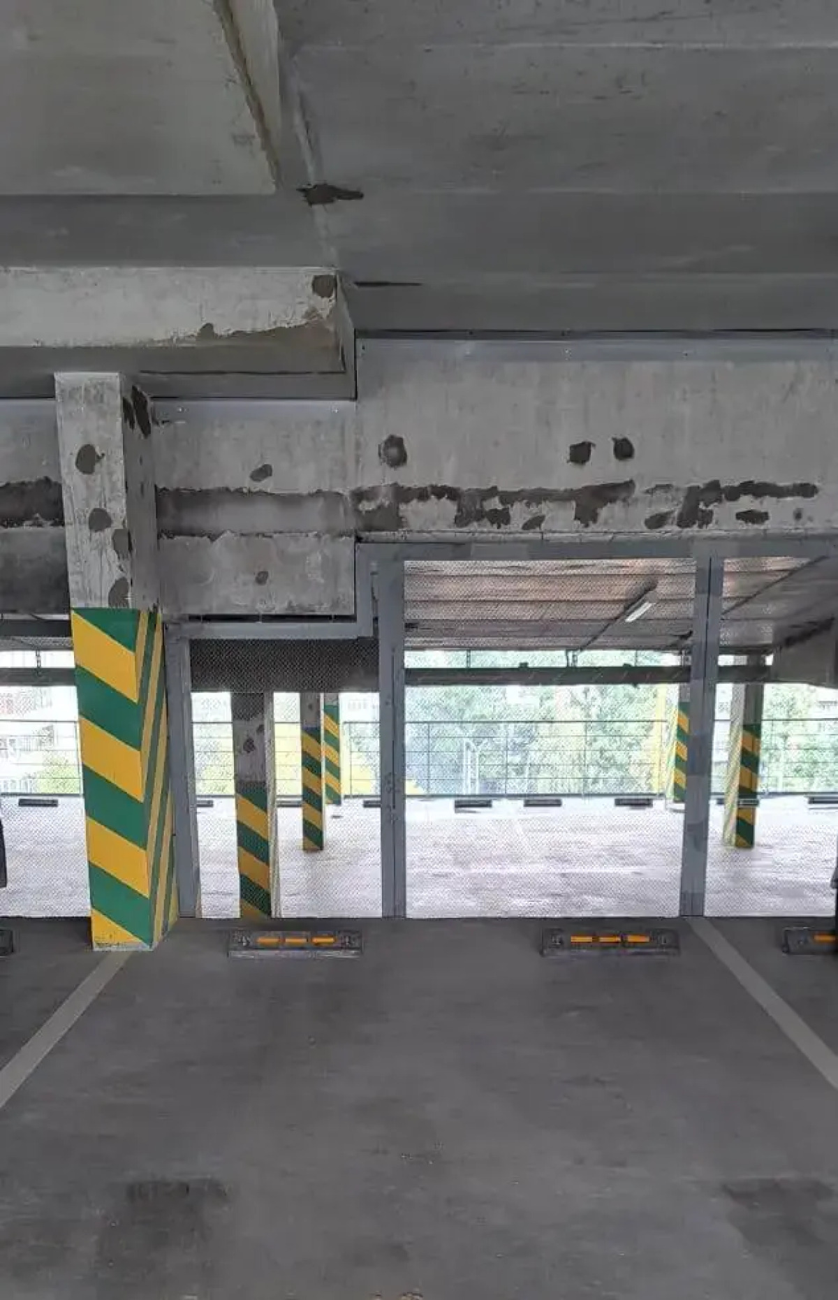 Квартира Мелодия леса