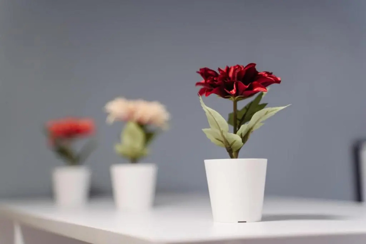 Апартаменты «9 ночей» в центре Петрозаводска, Шотмана 3 №1