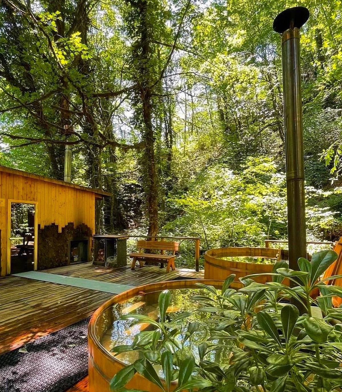 ЛЕС Глэмпинг и SPA