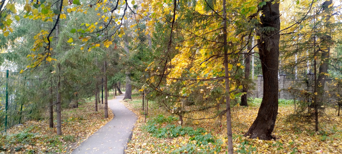 Апартаменты MyHomeUfa Lux на Шафиева