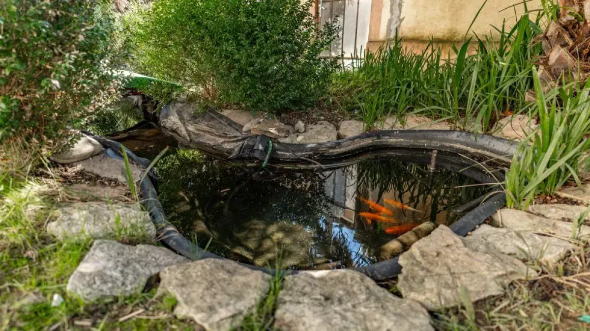 Гостевой дом Мелисса