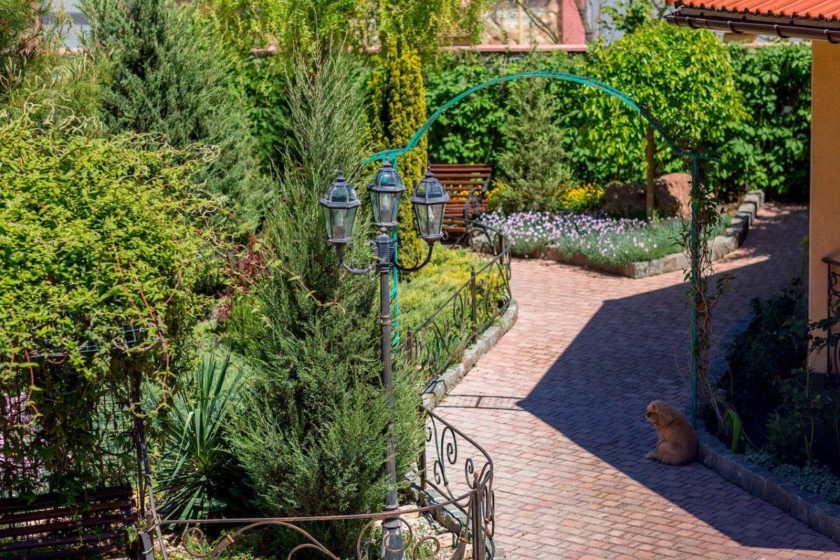 Гостевой дом Большая медведица