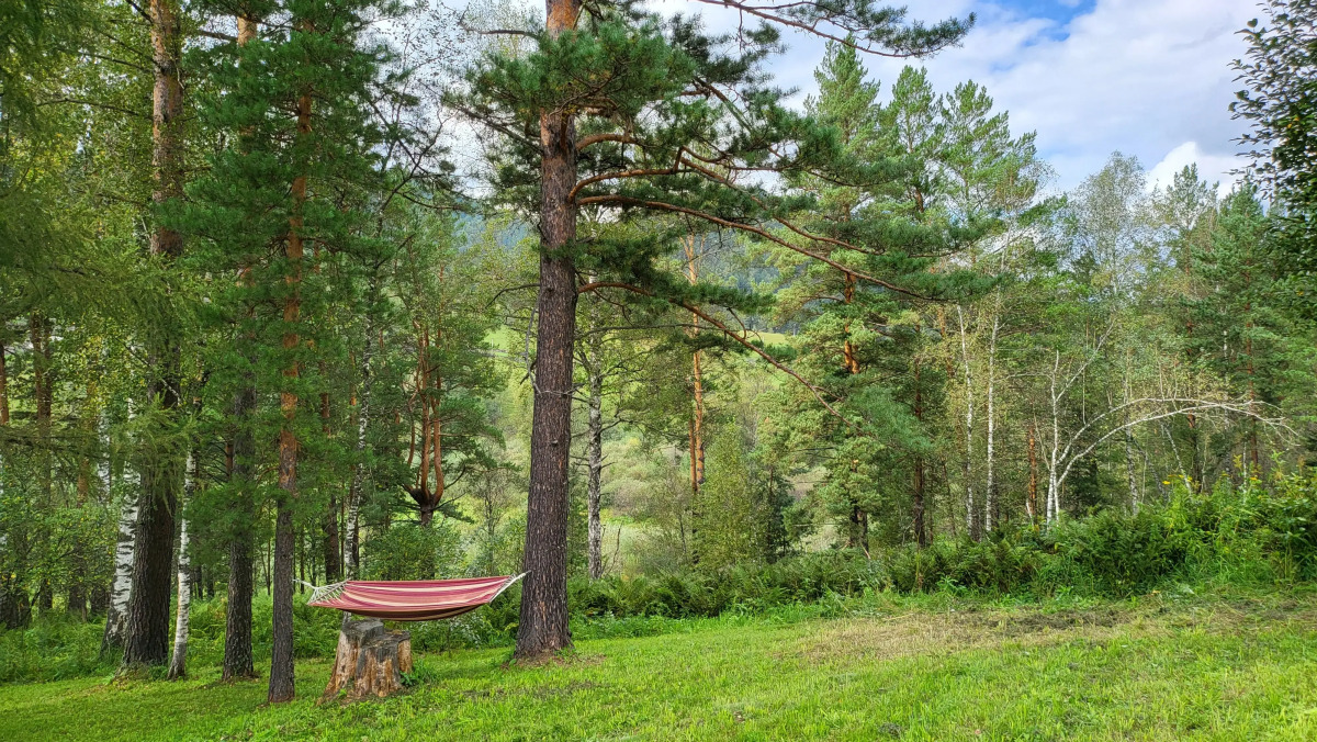 База отдыха Вдохни Алтай