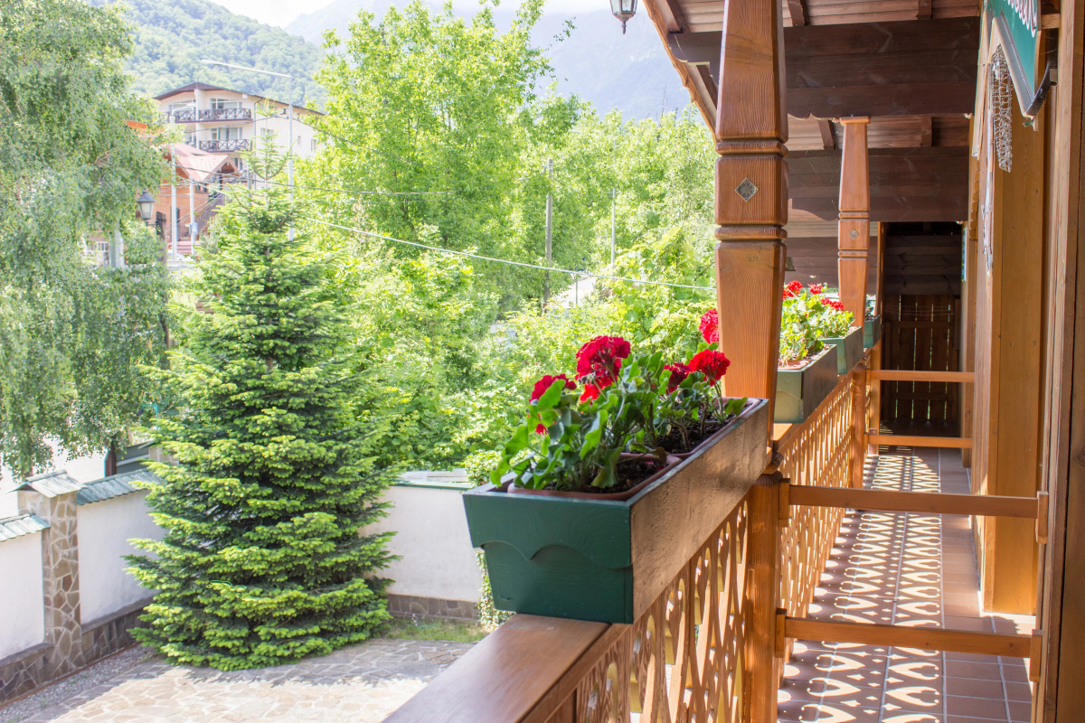 Отель Рай-Ski Домик