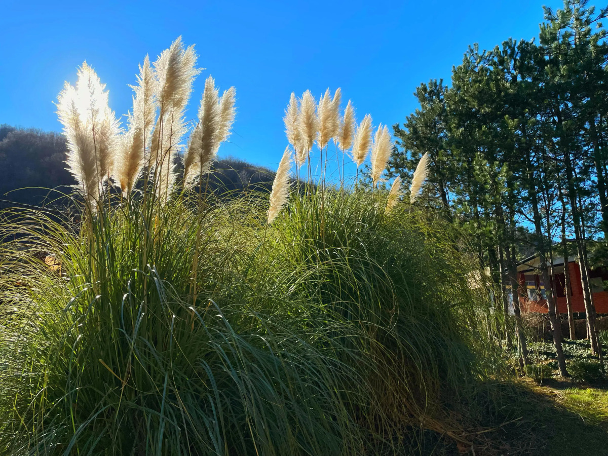 Апартаменты в Ботаническом Саду 7 Минут до Моря