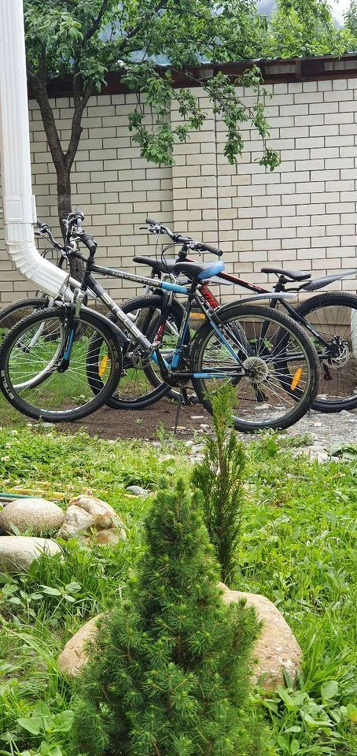 Квартира с видом на горы на улице Шевченко 13