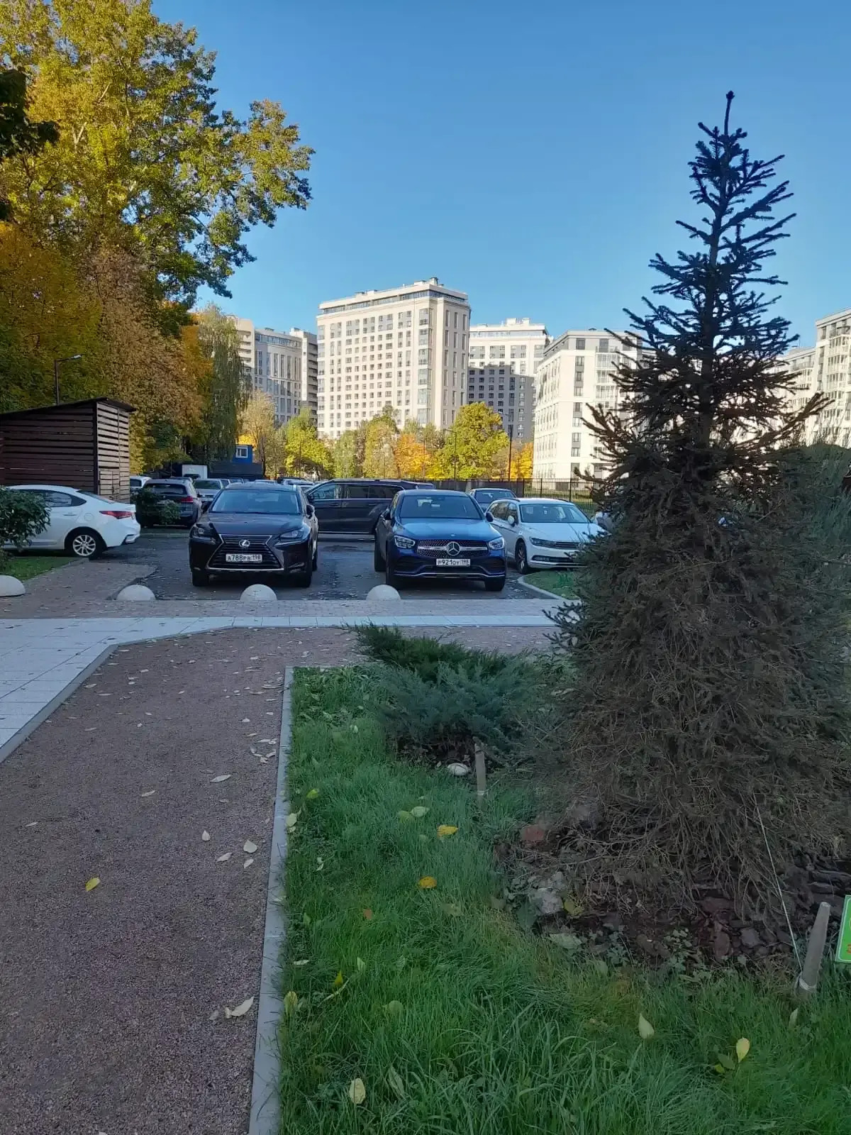 Апартаменты на Петроградке