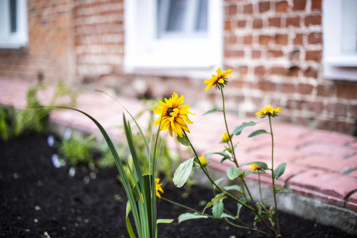 Гостевой дом-музей Красовских.