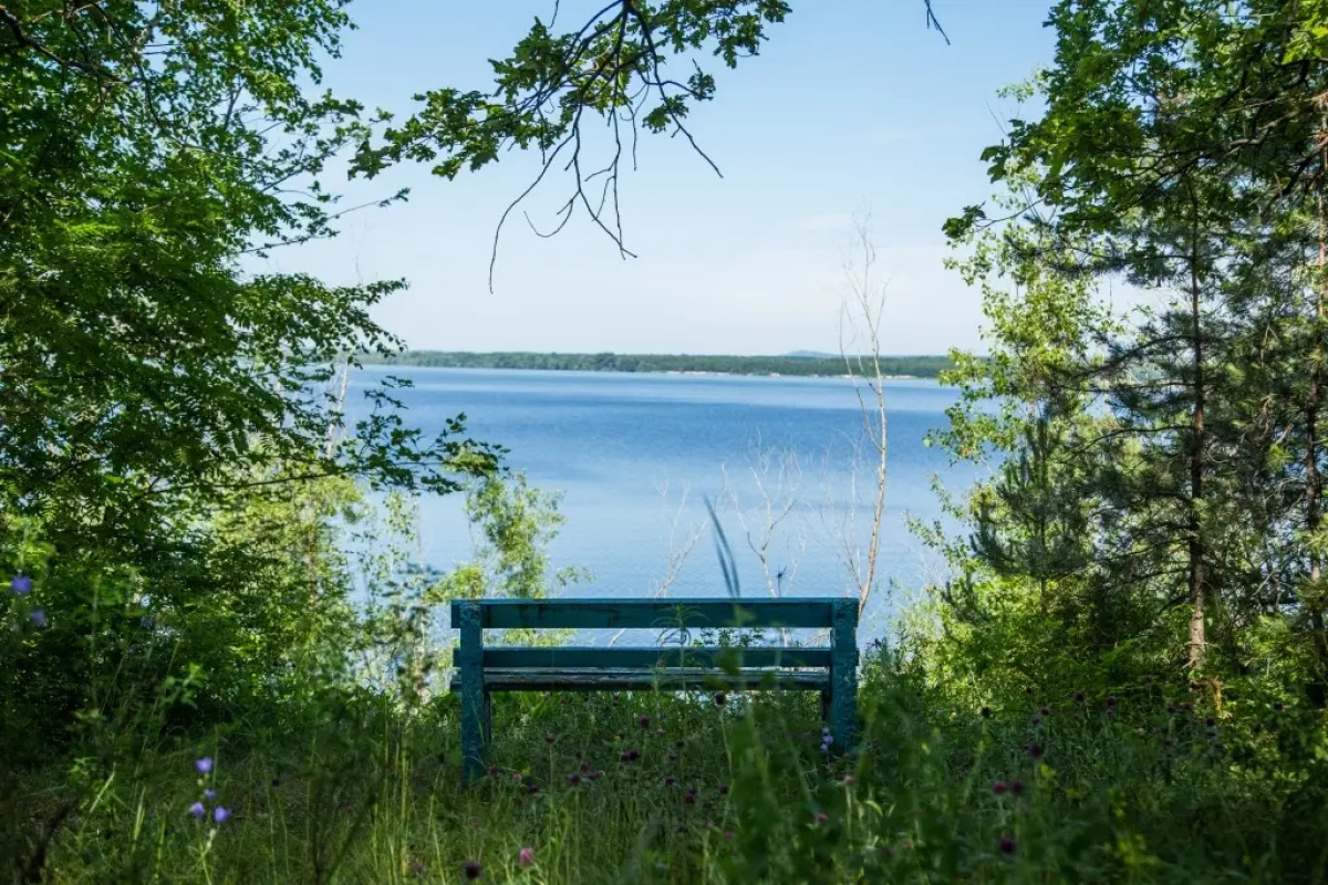 База Отдыха Сосновый Бор на Усе