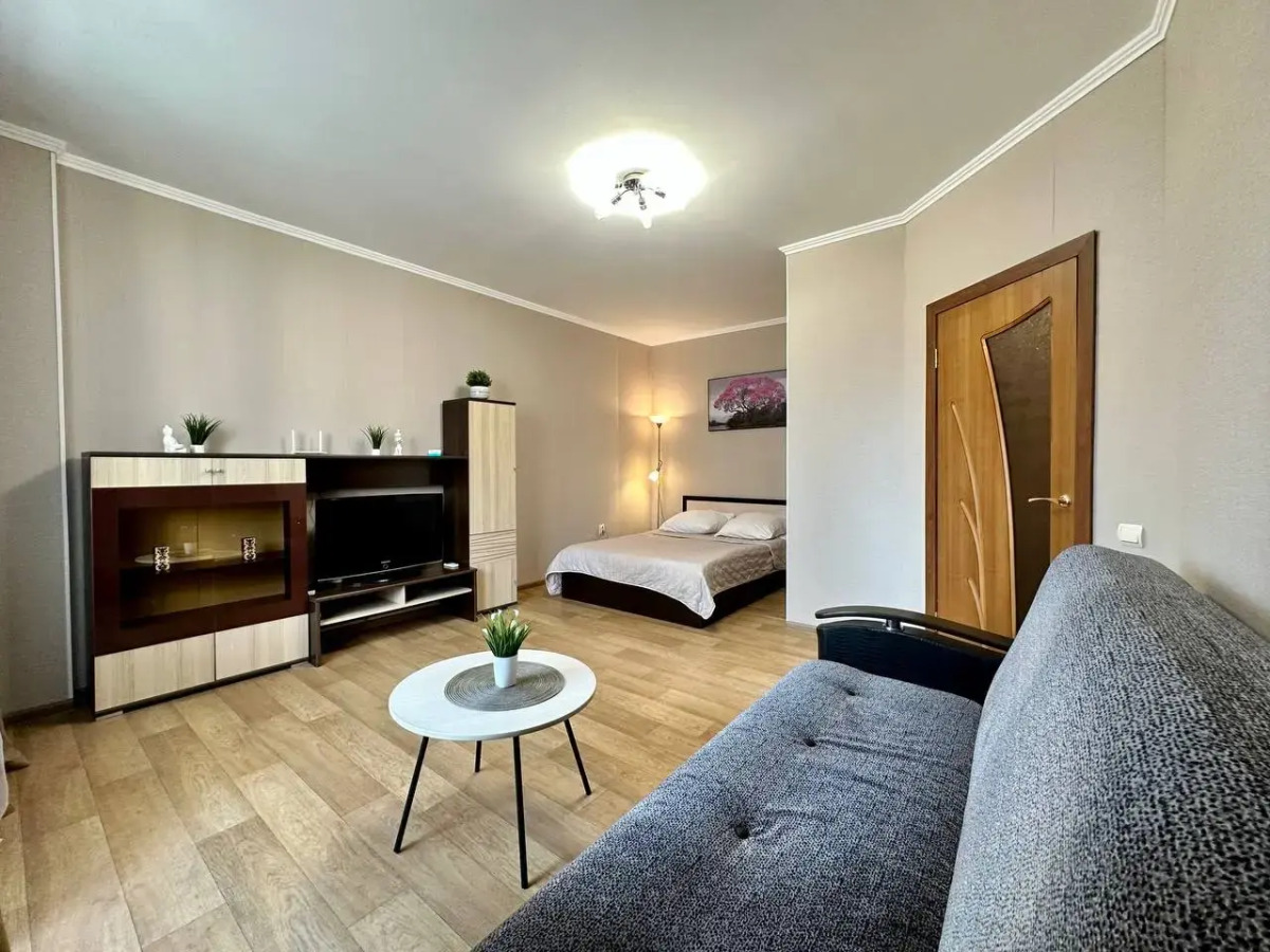 Квартира Однокомнатная Революционная 7