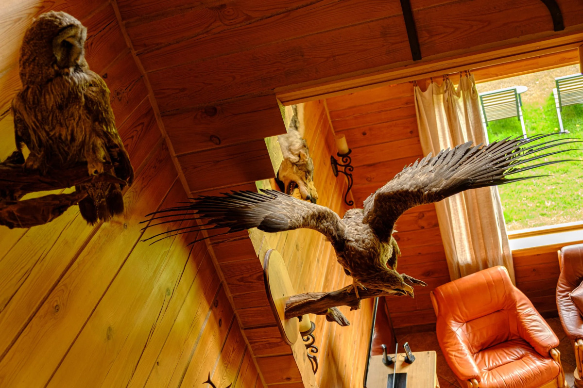 Загородный Эко-клуб "Три медведя"