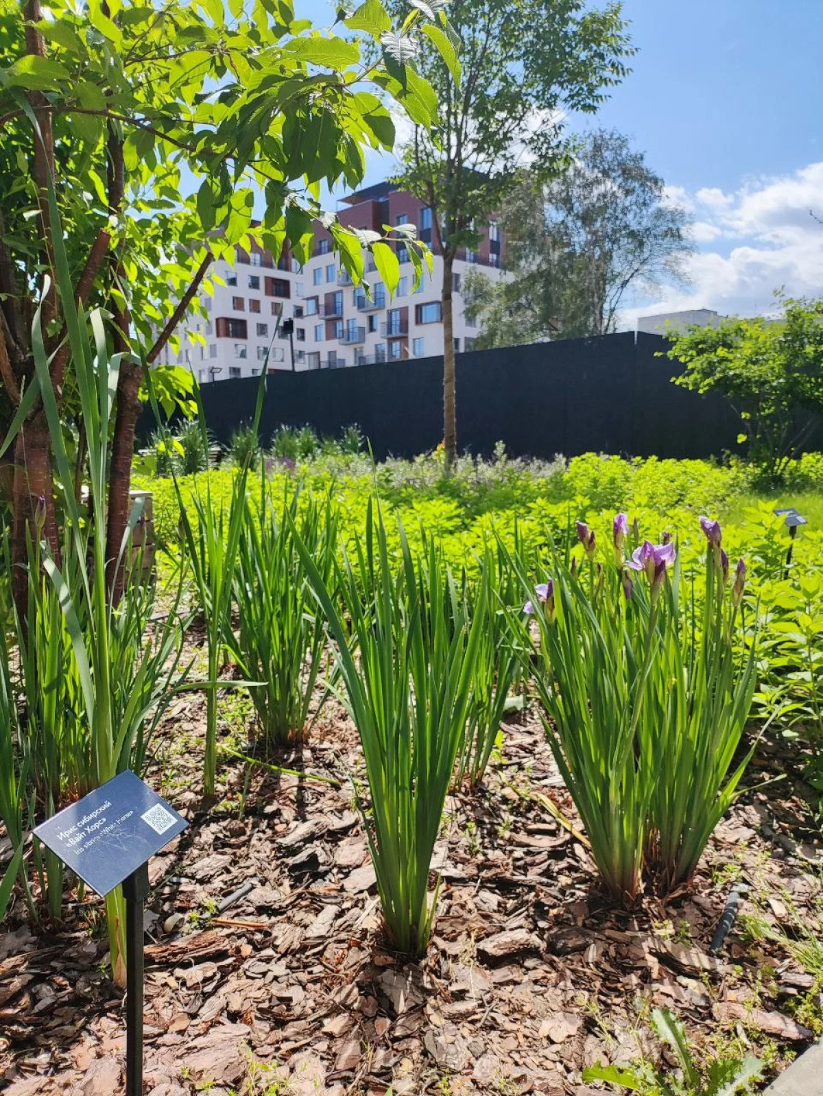 Студия у Метро Космонавтов