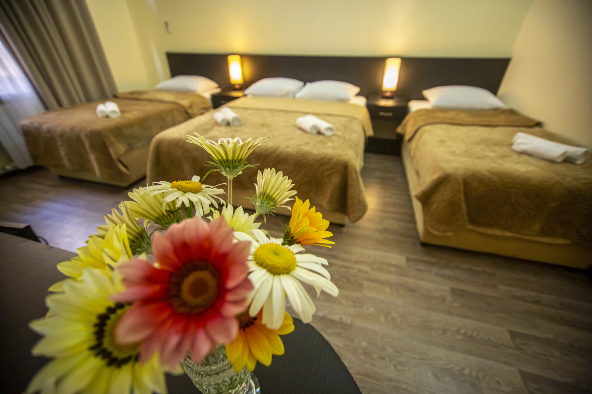 Отель Chveni Ezo