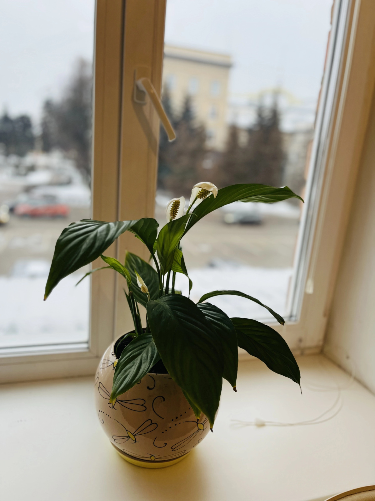 Апартаменты на Площади Ленина