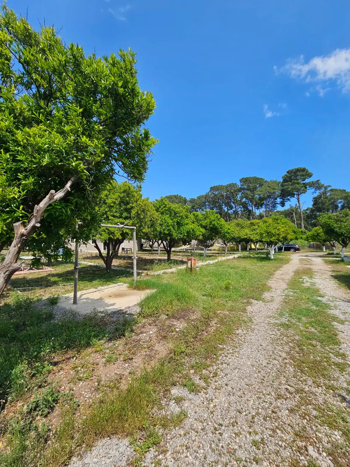 Мини-отель Orange beach camp caravan club