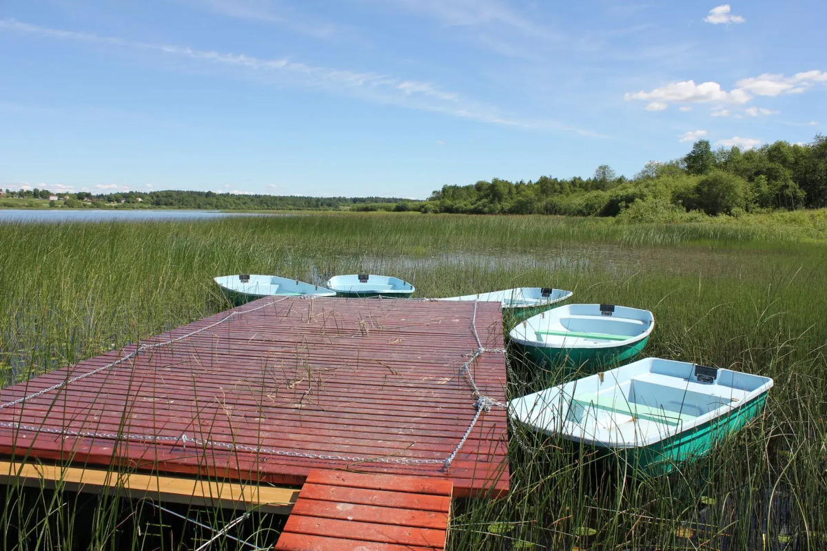 База Отдыха Солнечная