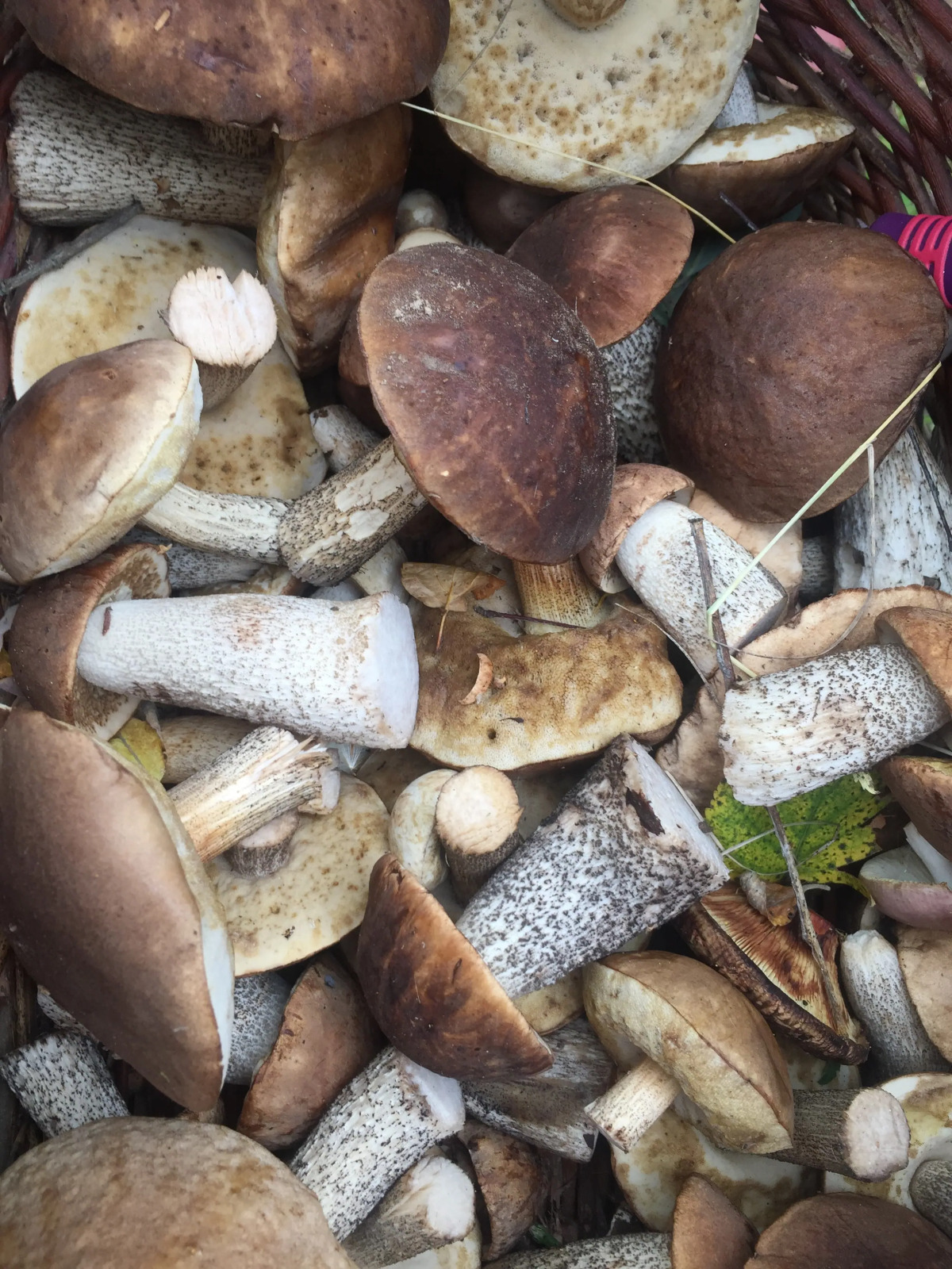 Гостевой дом Брейтово