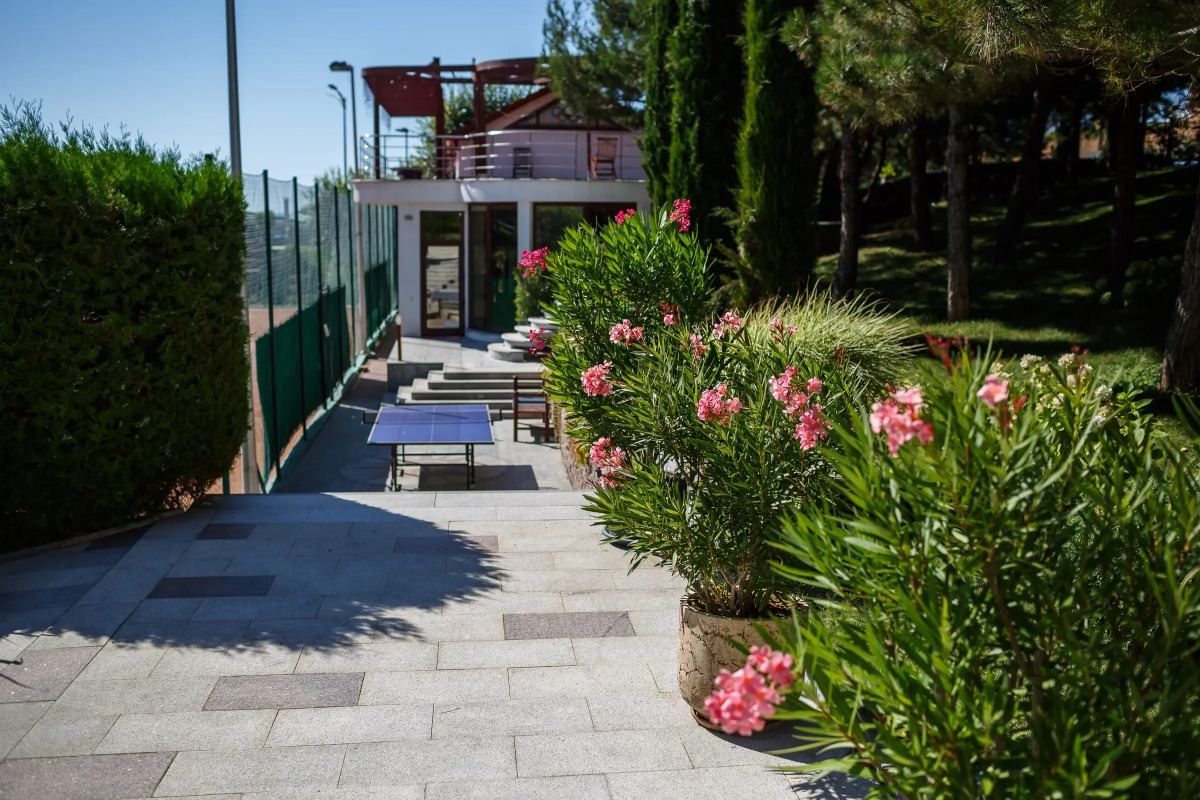 Вязовая Роща