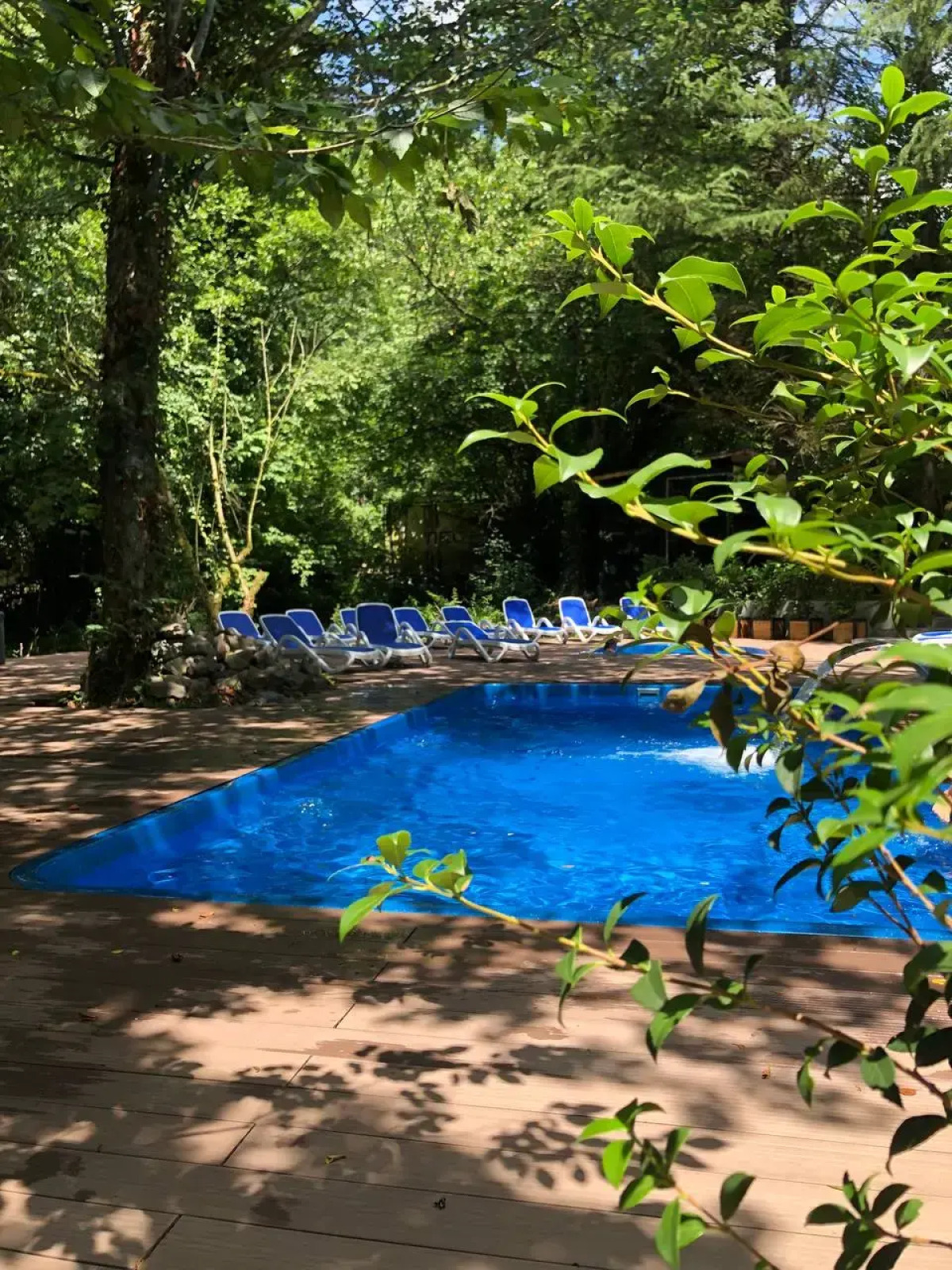 ЛЕС Глэмпинг и SPA