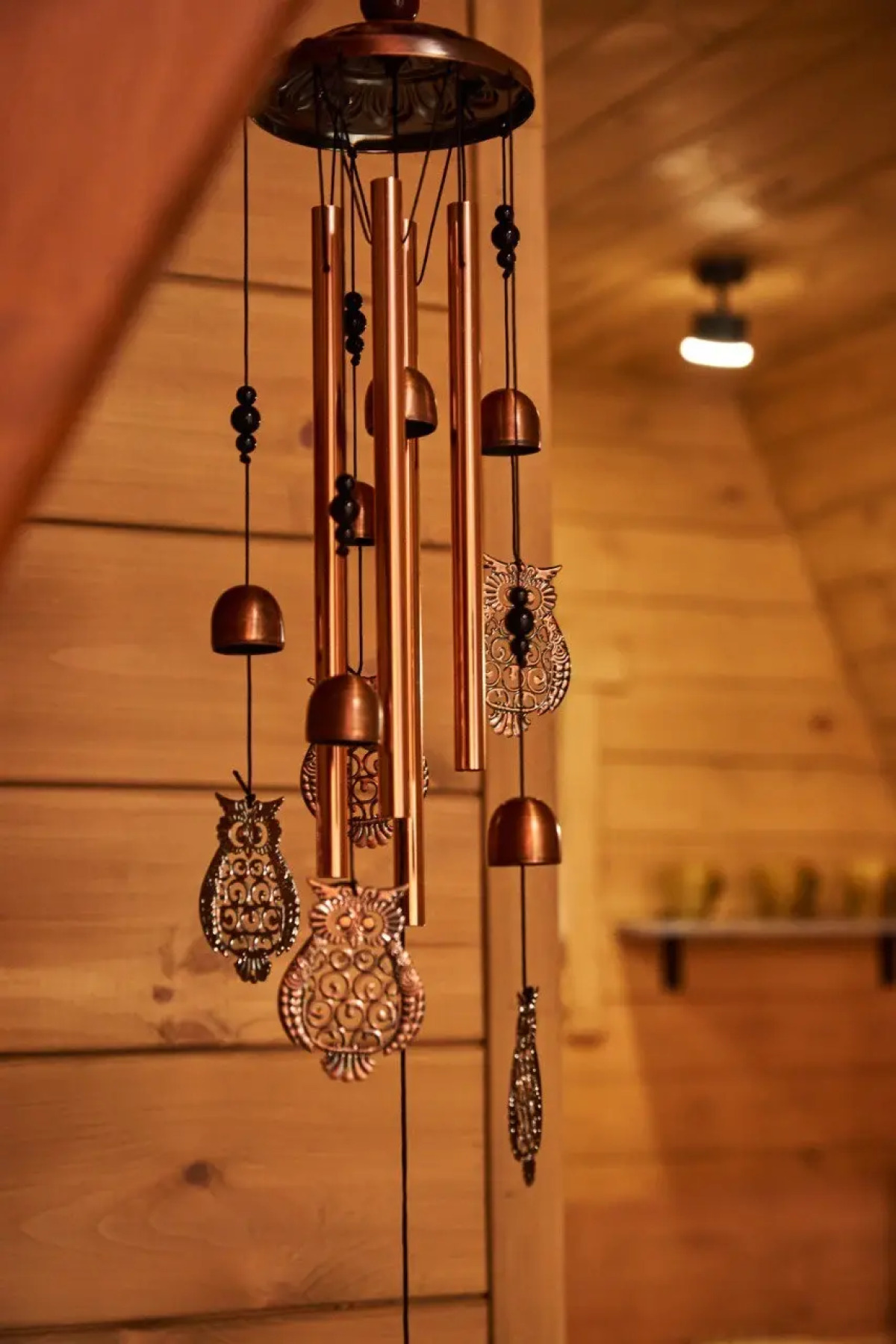 База отдыха Робин Гуд