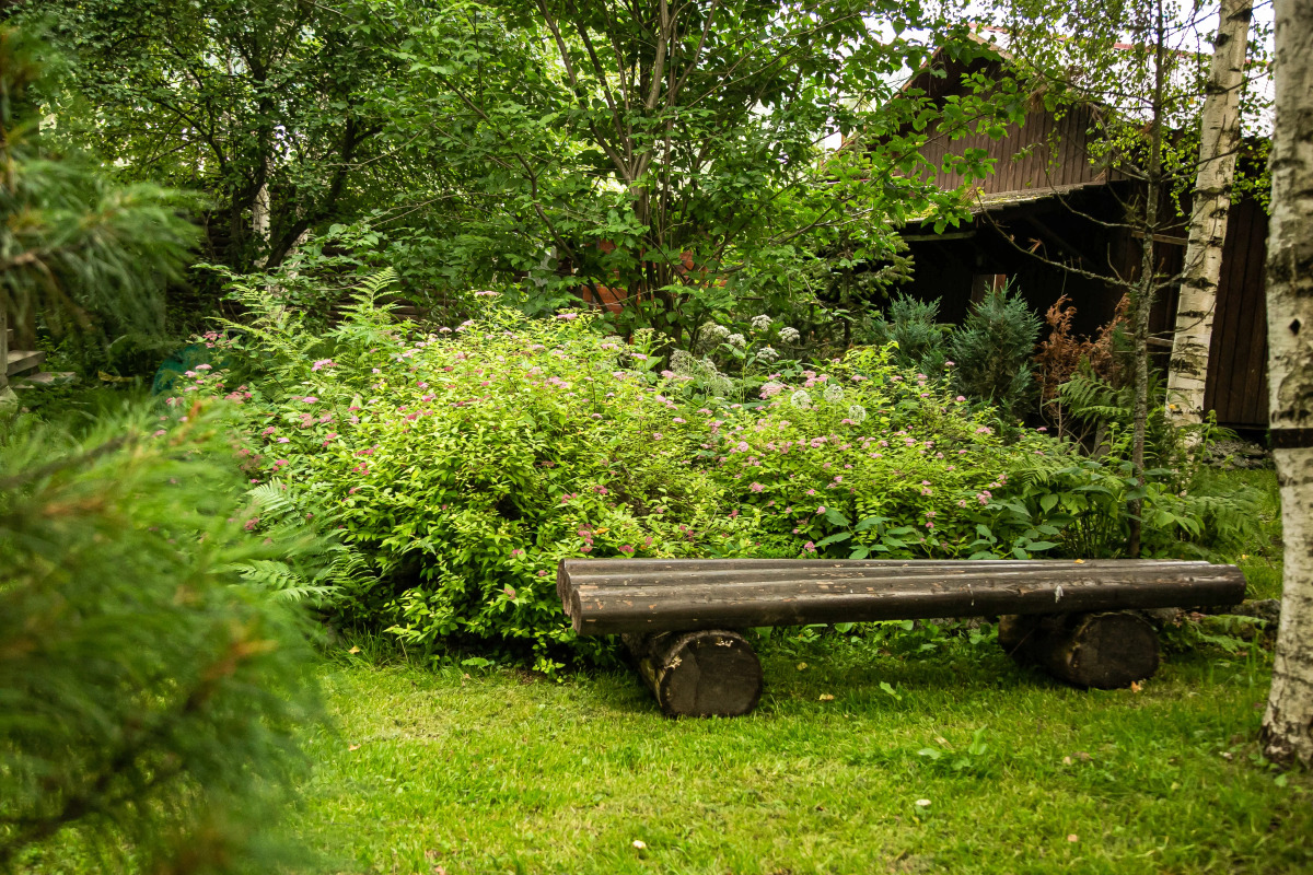 Гостевой дом Lake House номер студия