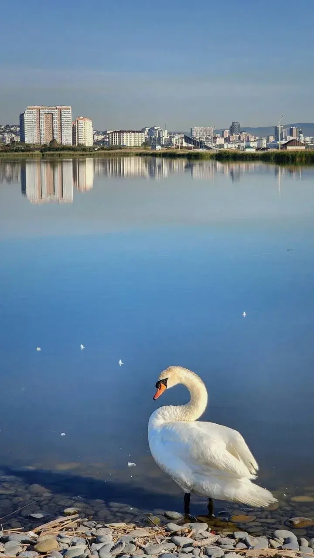 Апартаменты New 2025 Просторные на четверых