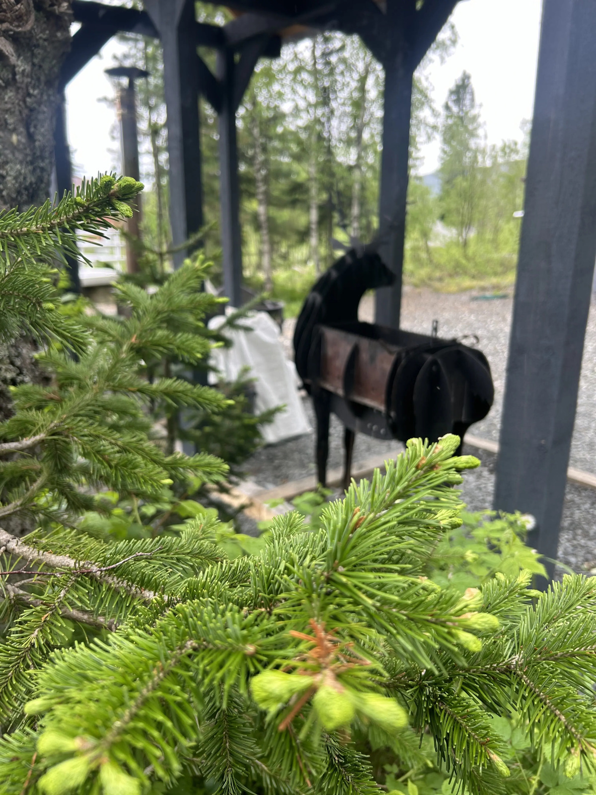 Гостевой Дом Брусника № 1