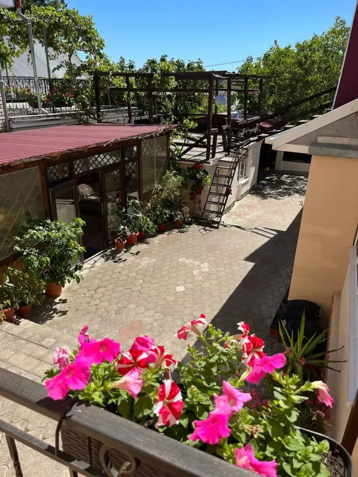 Гостевой дом Золотая лоза