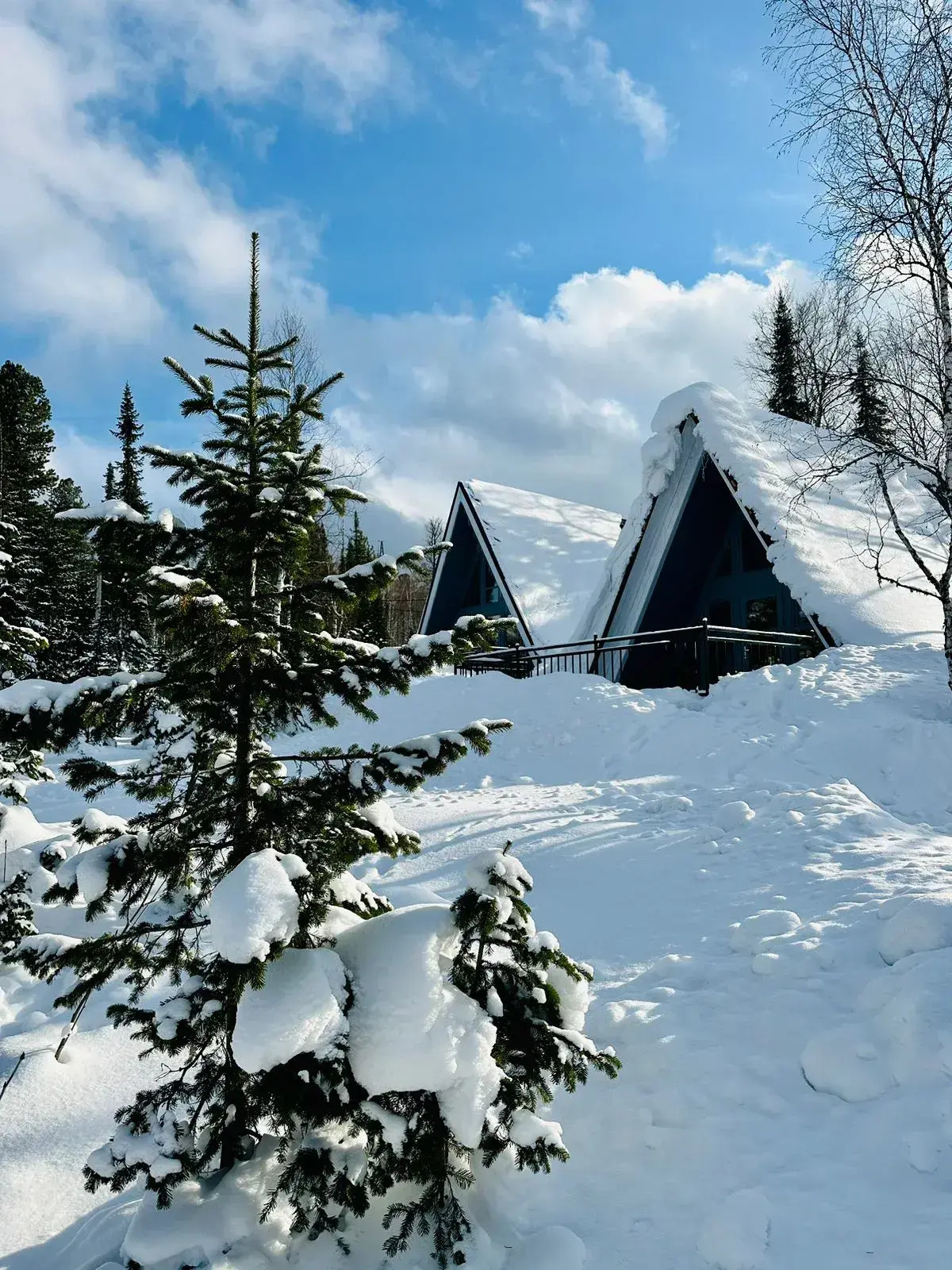 Гостевой дом Черногория на Родниковой
